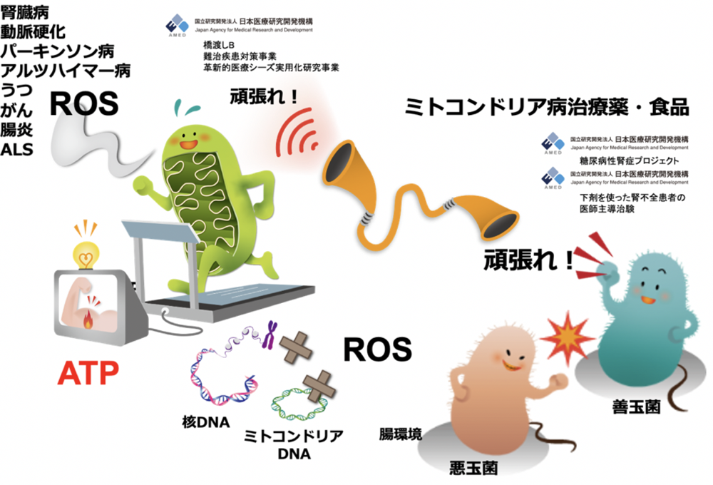 図1 ムーンショット型研究開発事業