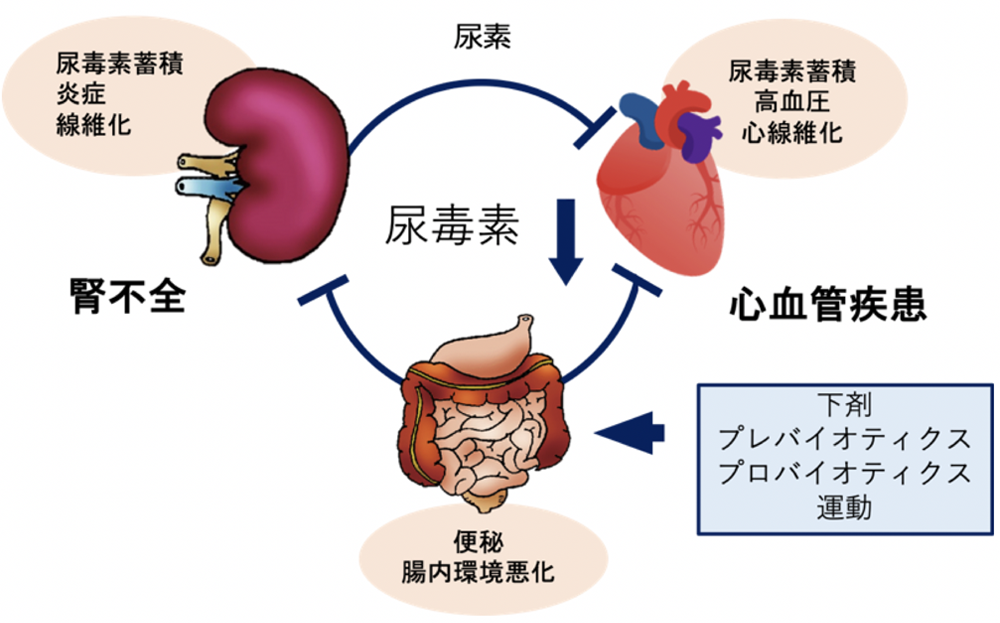 図3